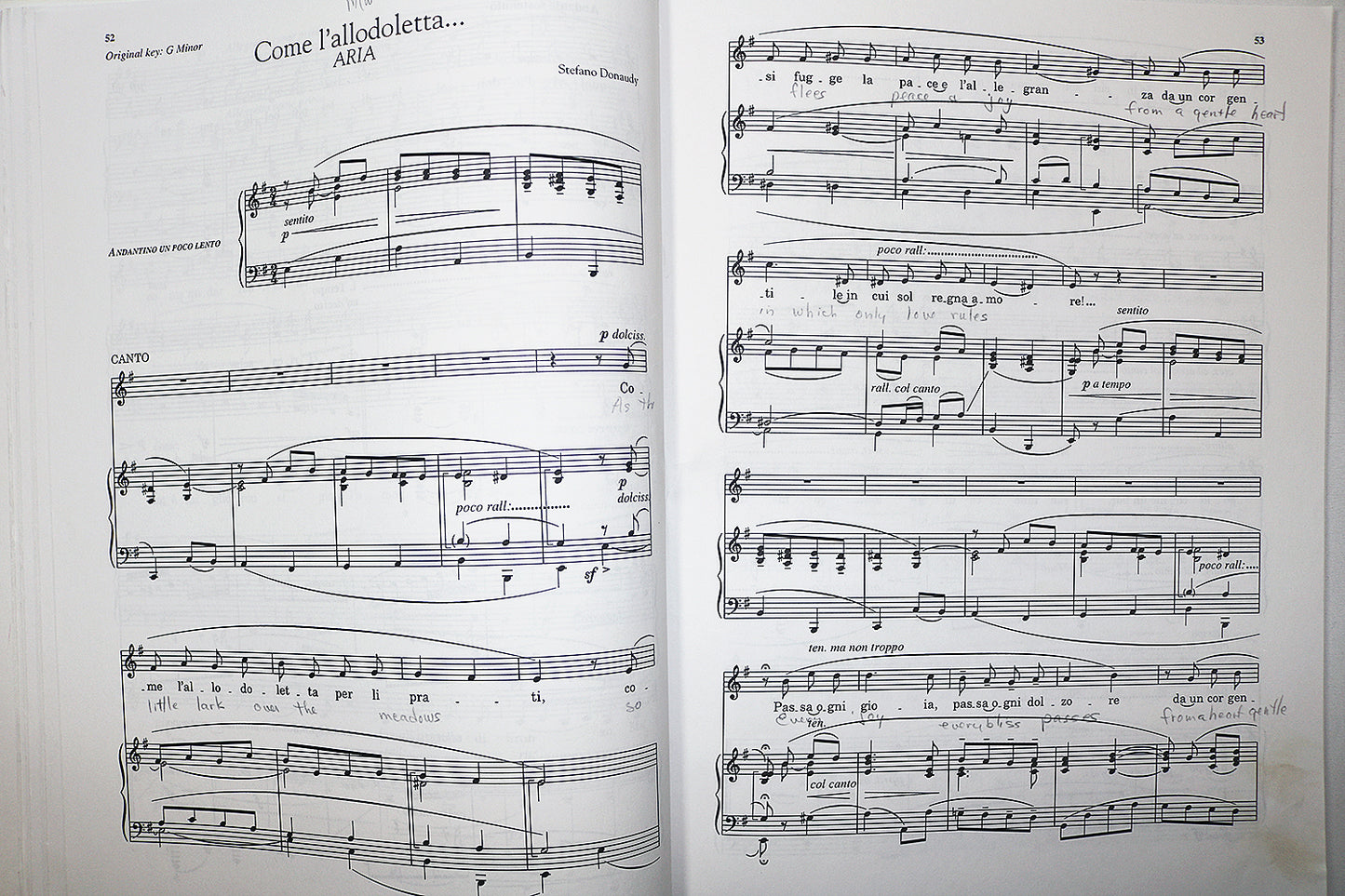Donaudy: 26 Arias in Antique Style (Low Voice)