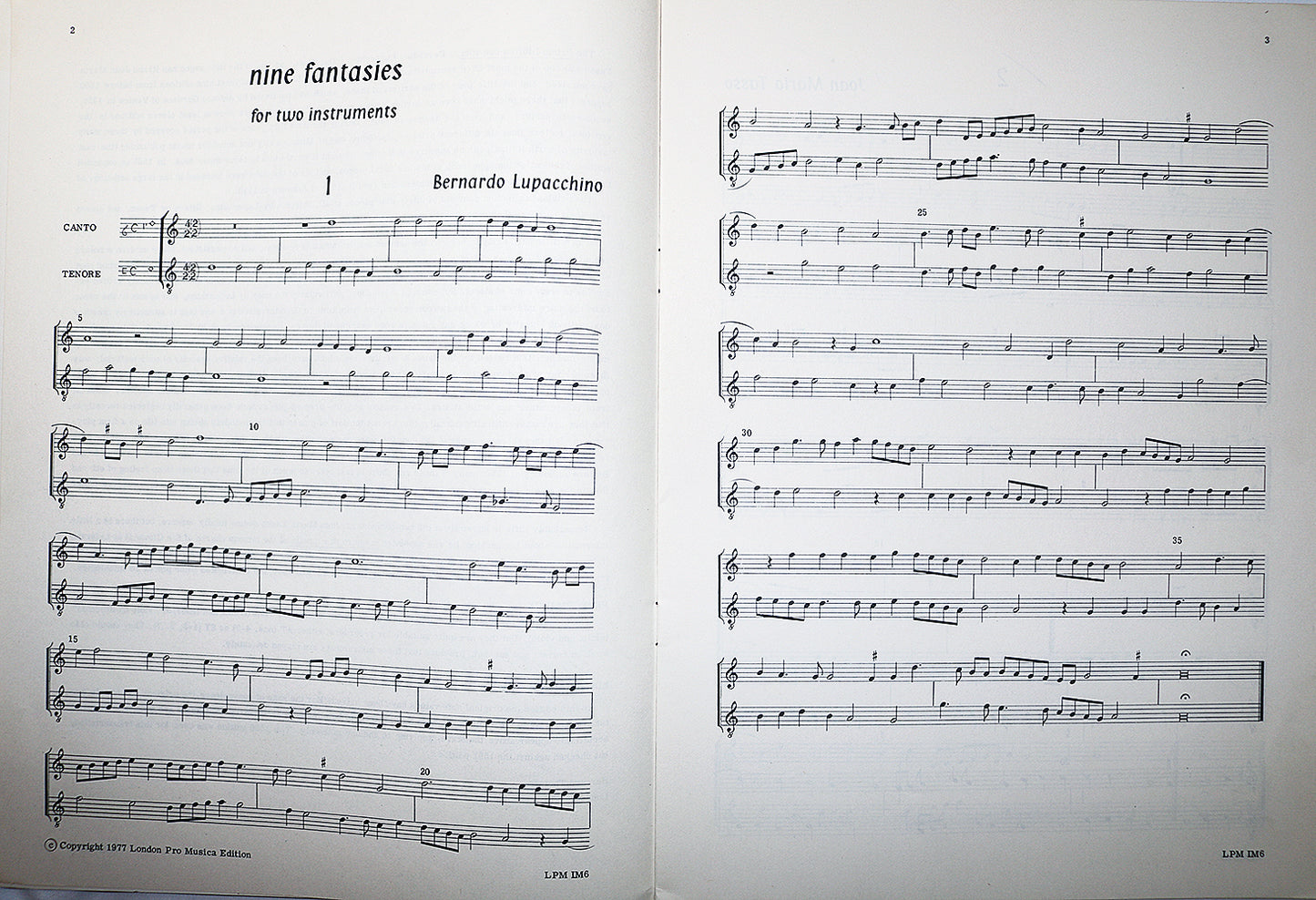 Lupacchino and Tasso: Nine Fantasies for Two Instrument