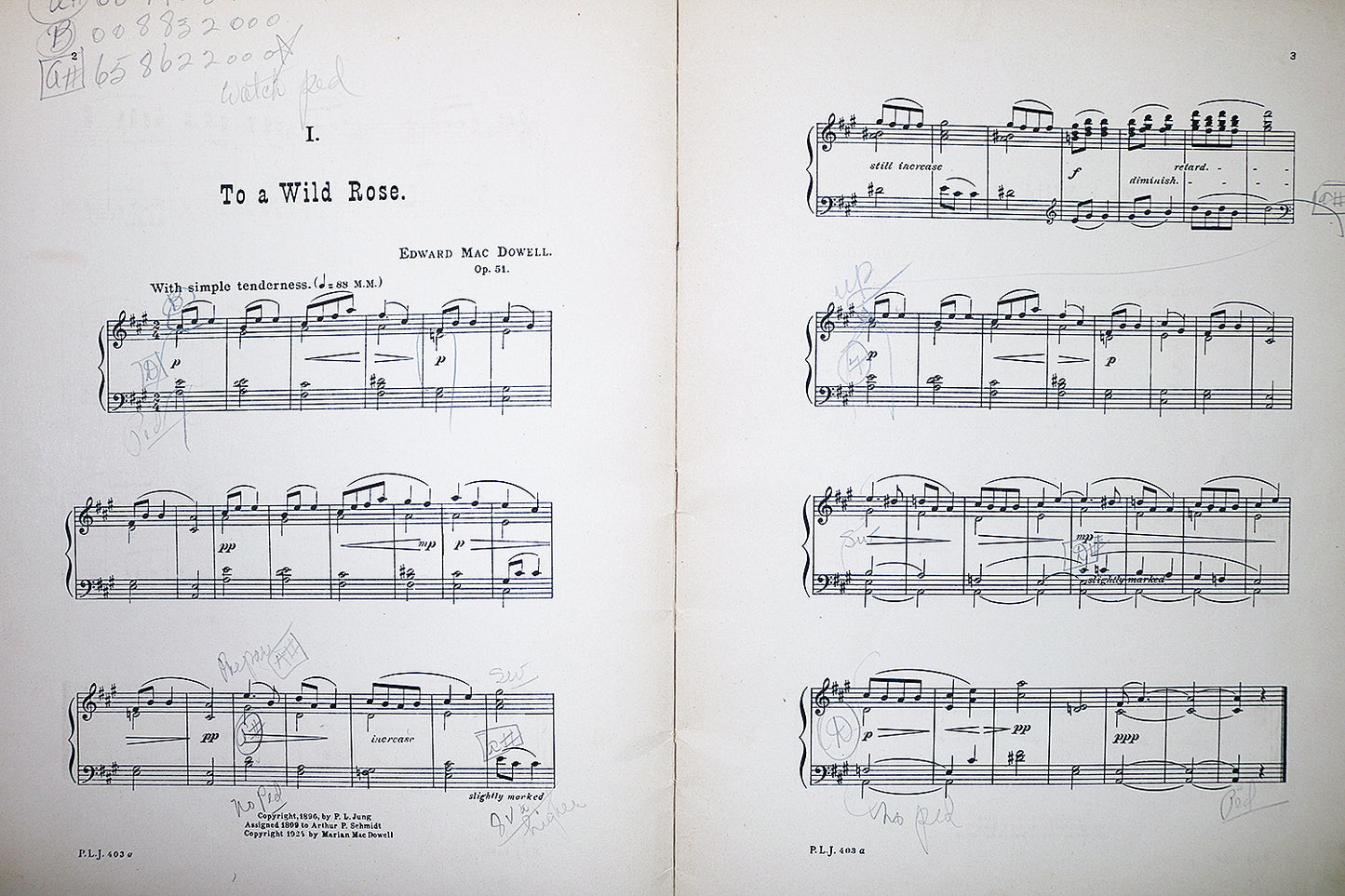 MacDowell: Woodland Sketches