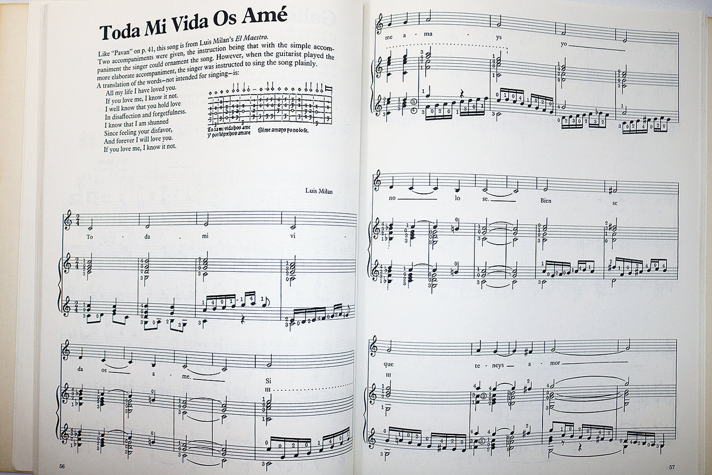 The Renaissance Guitar