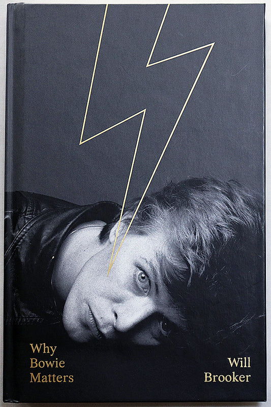 Why Bowie Matters
